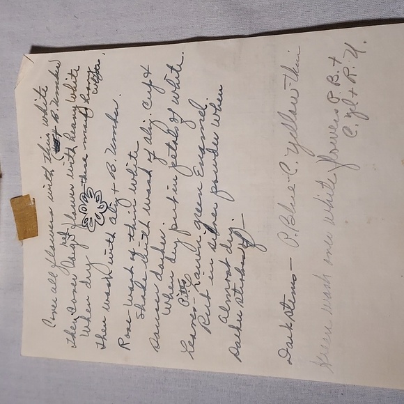 RARE and Vintage Hand Painted Flowers on Plastic Like Paper With Instructions - Picture 16 of 16